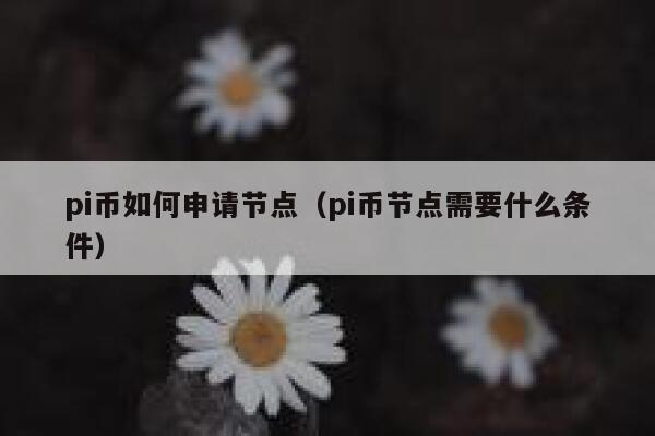 pi币如何申请节点(pi币节点需要什么条件) 第1张 pi币如何申请节点(pi币节点需要什么条件) 第1张