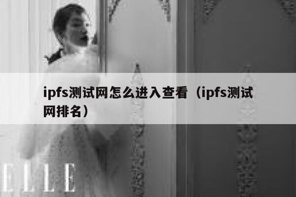 ipfs测试网怎么进入查看（ipfs测试网排名） 第1张