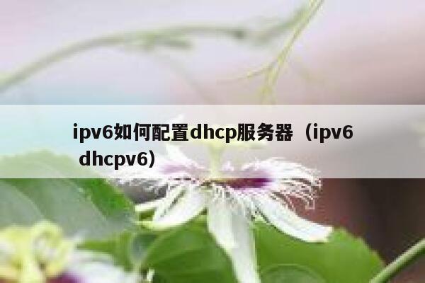 ipv6如何配置dhcp服务器（ipv6 dhcpv6） 第1张