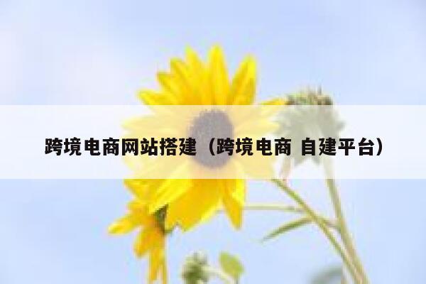 跨境电商网站搭建（跨境电商 自建平台） 第1张