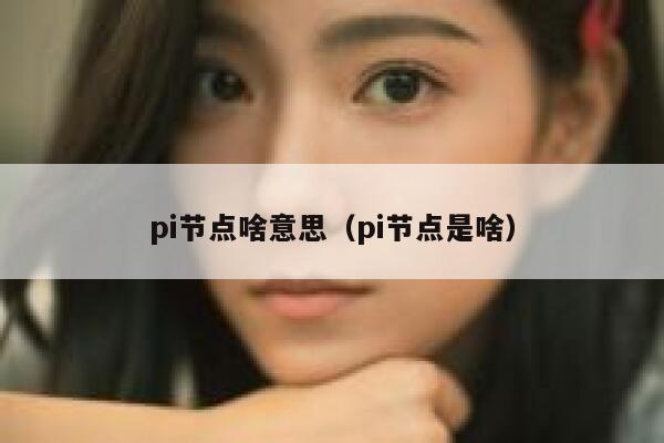 pi节点啥意思（pi节点是啥） 第1张