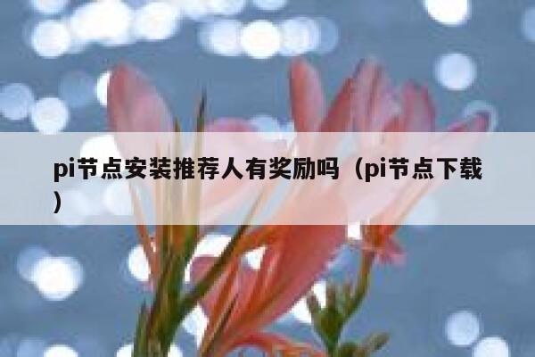 pi节点安装推荐人有奖励吗（pi节点下载） 第1张