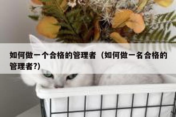 如何做一个合格的管理者（如何做一名合格的管理者?） 第1张