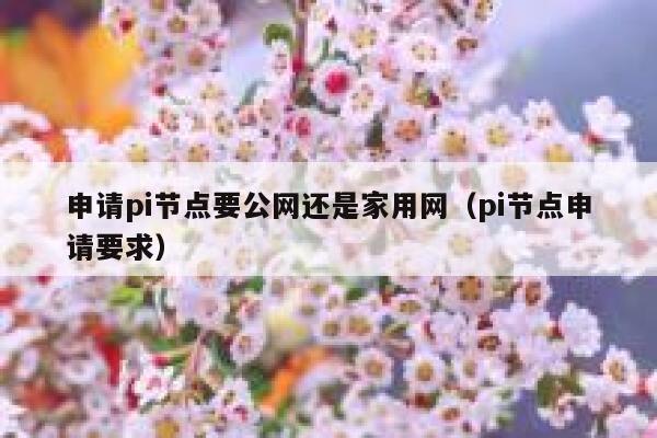 申请pi节点要公网还是家用网（pi节点申请要求） 第1张
