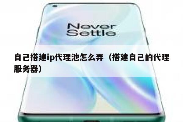 自己搭建ip代理池怎么弄（搭建自己的代理服务器） 第1张