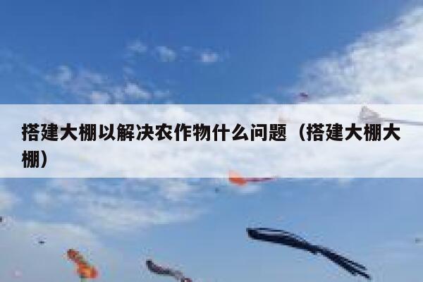 搭建大棚以解决农作物什么问题（搭建大棚大棚） 第1张
