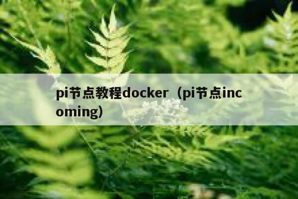 pi节点教程docker（pi节点incoming） 第1张