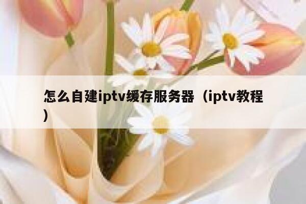怎么自建iptv缓存服务器（iptv教程） 第1张