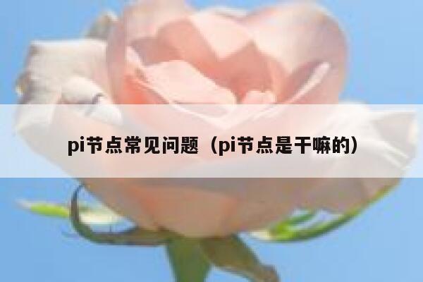 pi节点常见问题（pi节点是干嘛的） 第1张