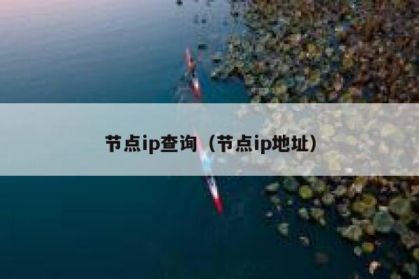 节点ip查询（节点ip地址） 第1张