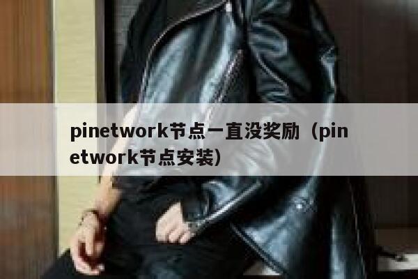 pinetwork节点一直没奖励（pinetwork节点安装） 第1张