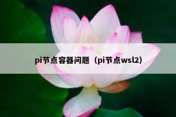 pi节点容器问题（pi节点wsl2） 第1张