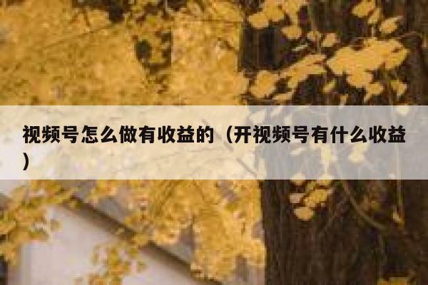 视频号怎么做有收益的（开视频号有什么收益） 第1张