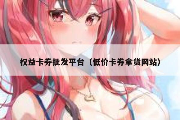 权益卡券批发平台（低价卡券拿货网站） 第1张