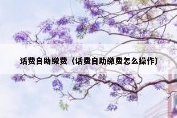 话费自助缴费(话费自助缴费怎么操作) 第1张 话费自助缴费(话费自助缴费怎么操作) 第1张