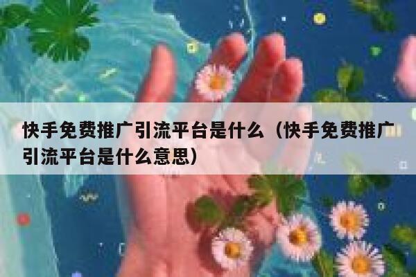 快手免费推广引流平台是什么（快手免费推广引流平台是什么意思） 第1张