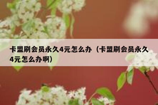 卡盟刷会员永久4元怎么办(卡盟刷会员永久4元怎么办啊) 第1张 卡盟刷会员永久4元怎么办(卡盟刷会员永久4元怎么办啊) 第1张