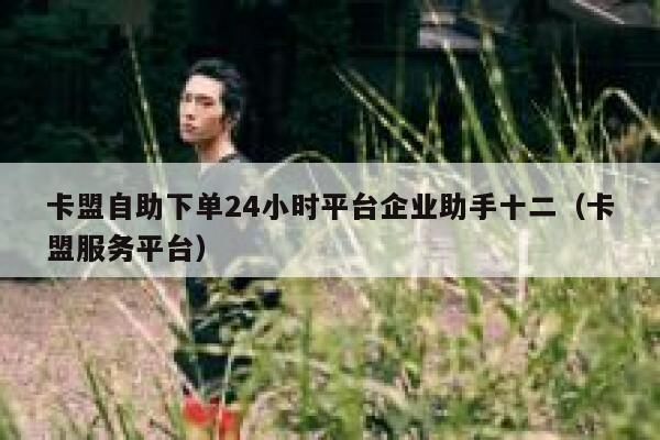 卡盟自助下单24小时平台企业助手十二（卡盟服务平台） 第1张