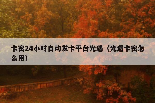 卡密24小时自动发卡平台光遇(光遇卡密怎么用) 第1张 卡密24小时自动发卡平台光遇(光遇卡密怎么用) 第1张