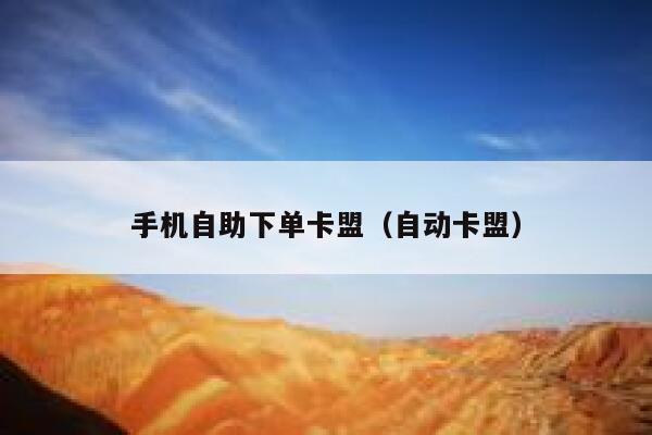 手机自助下单卡盟（自动卡盟） 第1张