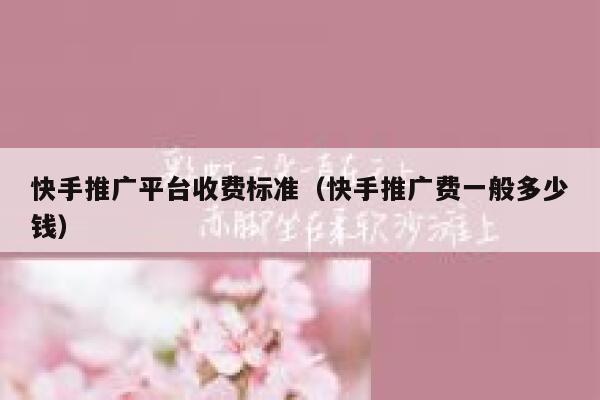 快手推广平台收费标准（快手推广费一般多少钱） 第1张