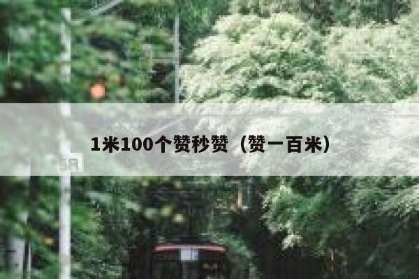 1米100个赞秒赞（赞一百米） 第1张