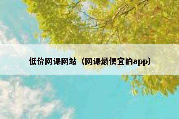 低价网课网站（网课最便宜的app） 第1张