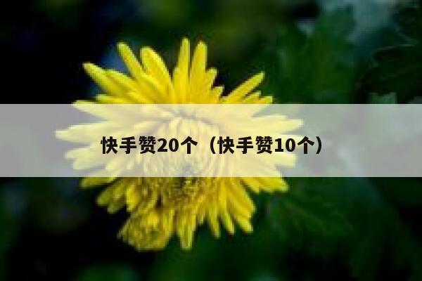 快手赞20个（快手赞10个） 第1张