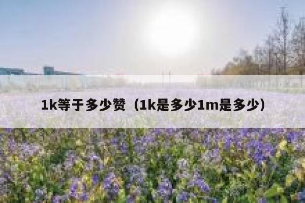 1k等于多少赞（1k是多少1m是多少） 第1张
