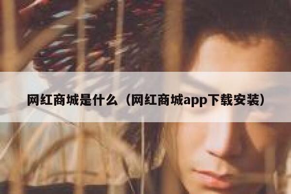 网红商城是什么（网红商城app下载安装） 第1张