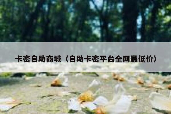 卡密自助商城（自助卡密平台全网最低价） 第1张