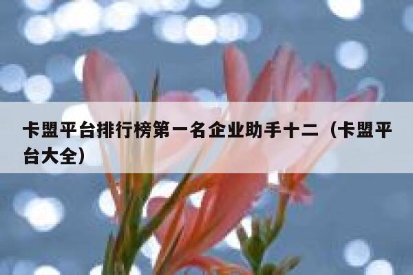 卡盟平台排行榜第一名企业助手十二（卡盟平台大全） 第1张