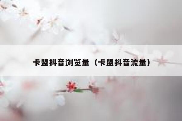 卡盟抖音浏览量（卡盟抖音流量） 第1张