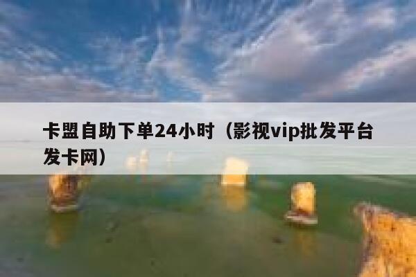 卡盟自助下单24小时（影视vip批发平台发卡网） 第1张