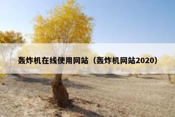 轰炸机在线使用网站（轰炸机网站2020） 第1张