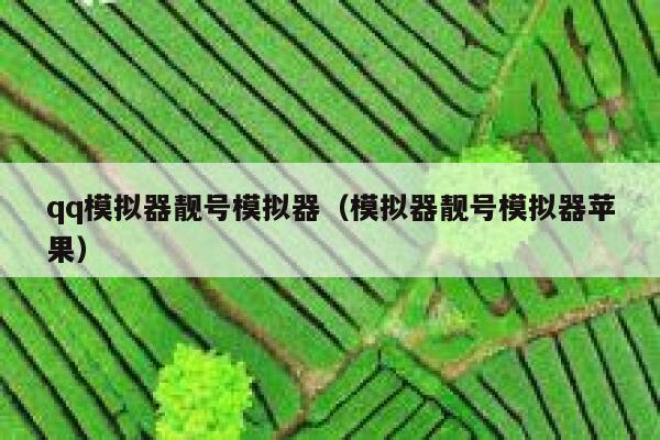 qq模拟器靓号模拟器（模拟器靓号模拟器苹果） 第1张