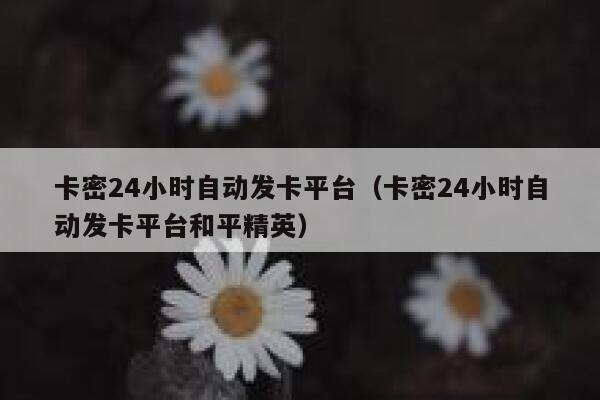 卡密24小时自动发卡平台（卡密24小时自动发卡平台和平精英） 第1张