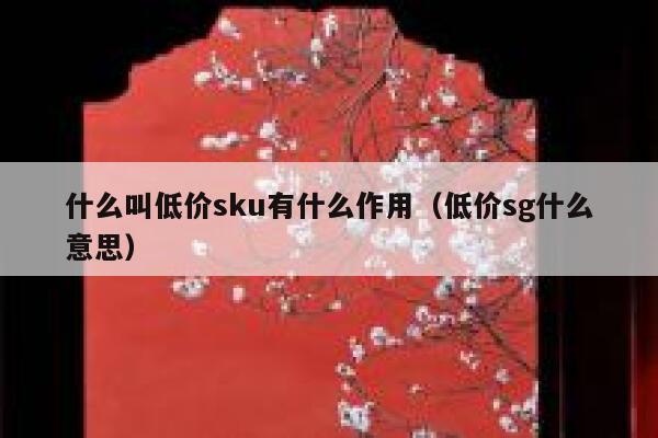什么叫低价sku有什么作用（低价sg什么意思） 第1张