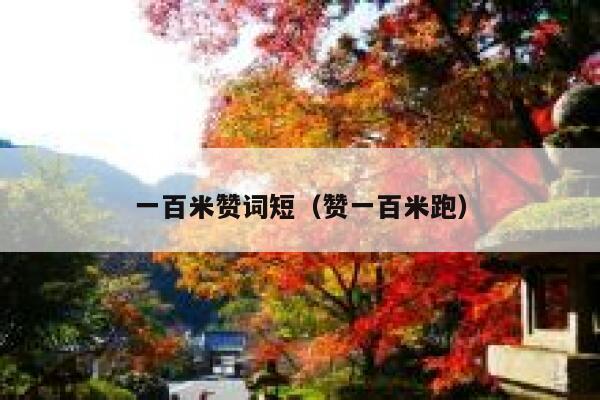 一百米赞词短（赞一百米跑） 第1张