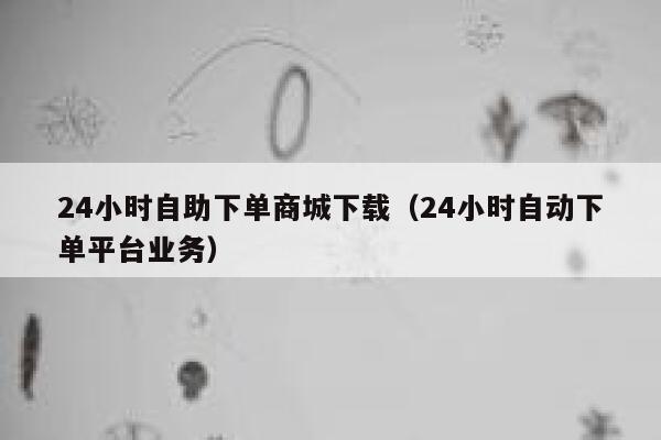 24小时自助下单商城下载（24小时自动下单平台业务） 第1张