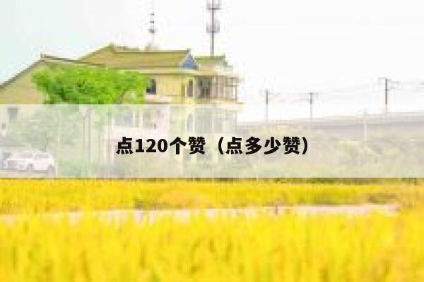 点120个赞（点多少赞） 第1张