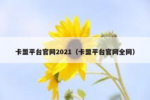 卡盟平台官网2021（卡盟平台官网全网） 第1张