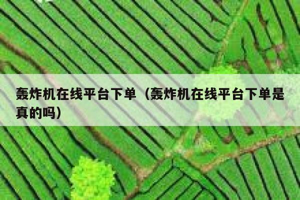 轰炸机在线平台下单(轰炸机在线平台下单是真的吗) 第1张 轰炸机在线平台下单(轰炸机在线平台下单是真的吗) 第1张
