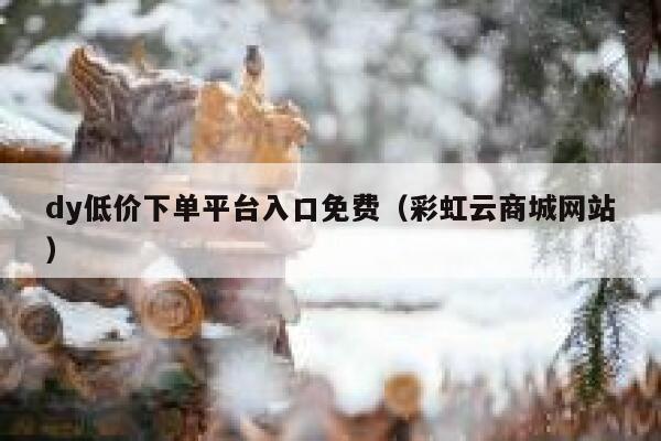 dy低价下单平台入口免费（彩虹云商城网站） 第1张