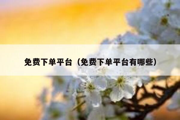 免费下单平台（免费下单平台有哪些） 第1张