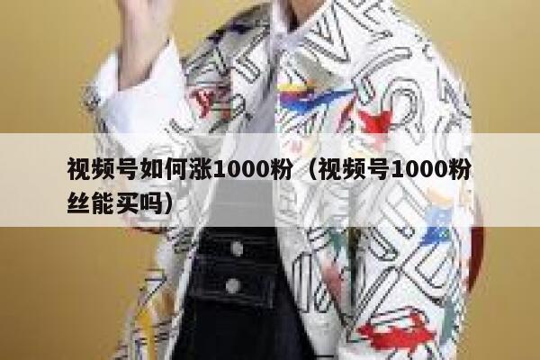视频号如何涨1000粉(视频号1000粉丝能买吗) 第1张 视频号如何涨1000粉(视频号1000粉丝能买吗) 第1张