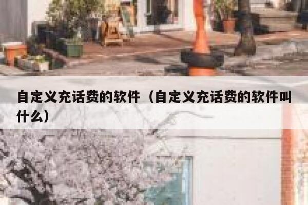 自定义充话费的软件（自定义充话费的软件叫什么） 第1张