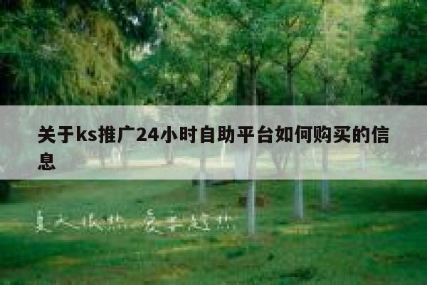关于ks推广24小时自助平台如何购买的信息 第1张