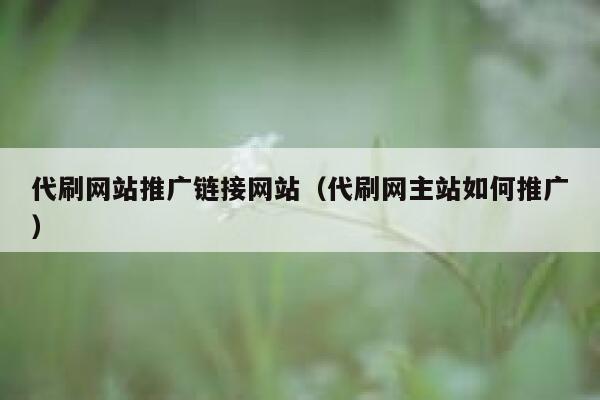 代刷网站推广链接网站（代刷网主站如何推广） 第1张