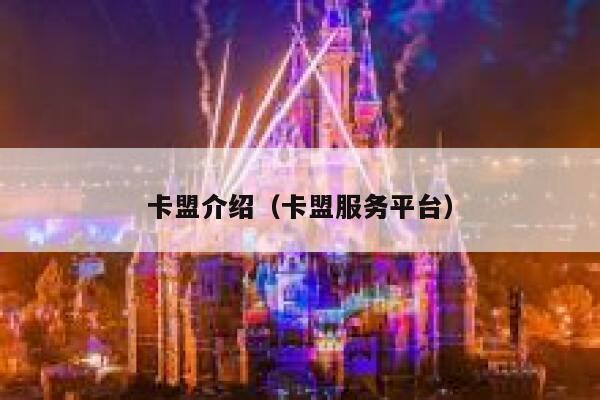 卡盟介绍（卡盟服务平台） 第1张